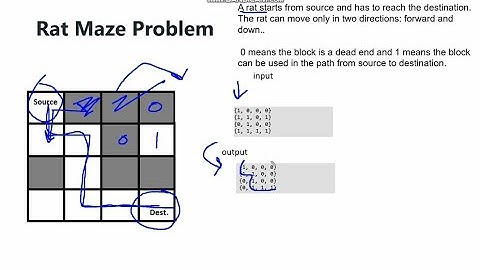 Rat Maze solver🐁| Backtracking| explanation|Recursive tree|code| Time complexity