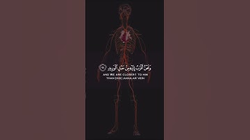 #إسلام_صبحي | ونَحنُ أقربُ إليهِ من حبلِ الوريد🌿سورة ق