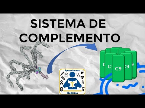 Sistema de complemento || Via Clasica, Alternativa & De las Lectinas||