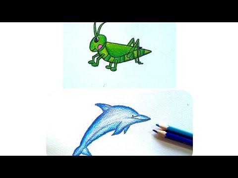 วาดรูประบายสีตั๊กแตน How to draw Grasshopper