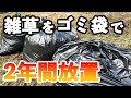 雑草を黒い袋に入れて2年後、中身はどうなったのか？