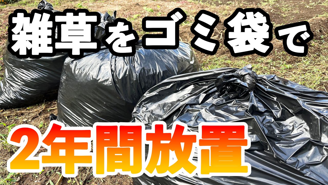 雑草を黒い袋に入れて2年後、中身はどうなったのか？
