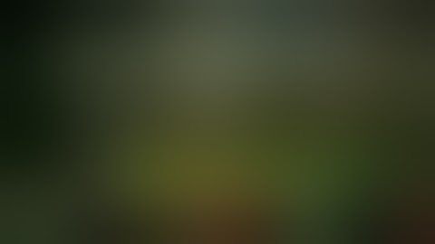 #11 How to increase your ship levels using GG+Pararlel Space (NO ROOT REQUIRED)