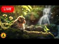 🔴 Relaxing Music 24/7, Stress Relief Music, Meditation Music, Calming Music, Rainforest Sounds