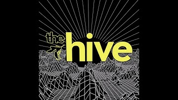 Beecast_003 // Insight