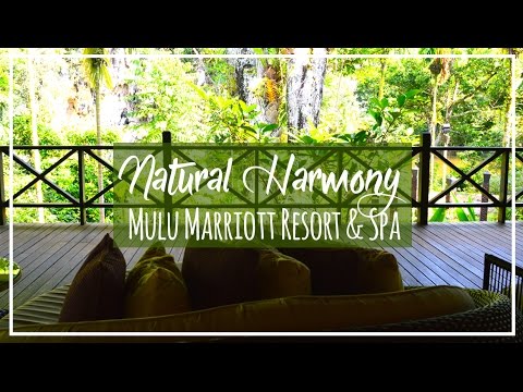 Mulu marriott resort spa malaysia