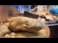 Hongkong #MarinatedGoose，Master skills #PigEars #Duck #chicken #GooseLiver #HongkongStreetFood #asmr