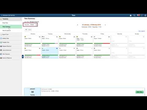 PeopleSoft Fluid Timesheet