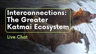 Interconnections: The Greater Katmai Ecosystem | Brooks Live Chat