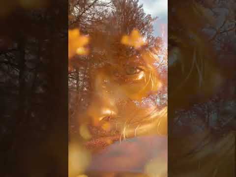 შენთვის ავტ ნინო ბერკაცაშვილი 