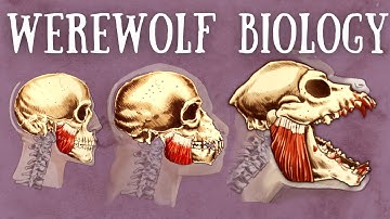 Werewolf Biology Explained | The Science of Lycanthropy
