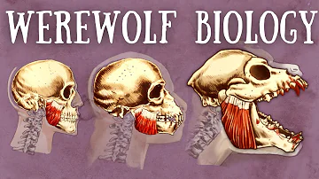 Werewolf Biology Explained | The Science of Lycanthropy