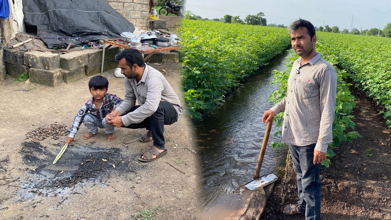 કપાસ મા પાણી ચાલુ દેવાંશ ને તો વાડીએ જ રેવુ છે 