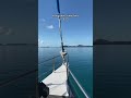 Downing the goon at the end is essential 🤣 #australiatravel #exploreaustralia #travelaustralia