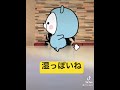 【歌ってみた】🎤湿っぽいね(feat.相沢&式浦躁吾)/MAISONdes