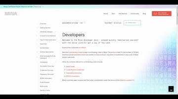 Video about MINA Protocol and zk-SNARK