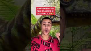 Dinosaurio Vivo Real Grabado En Video #shorts screenshot 3