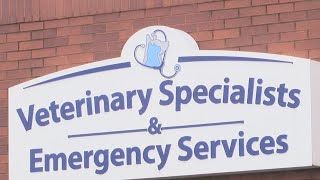 Brighton emergency vet reducing hours, cites nationwide staff shortage