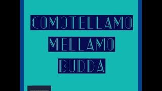 COMOTELLAMOMELLAMO BUDDA BALL @BUDDABALL1