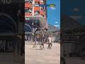Normal backflip skill vs Another level #shorts #backflip