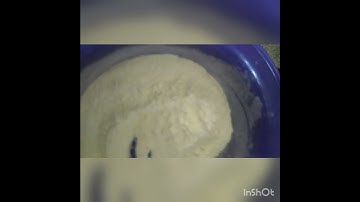 burger Buns Homemade