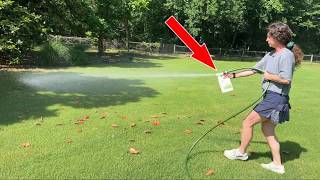 Natural Yard Spray for Pests
