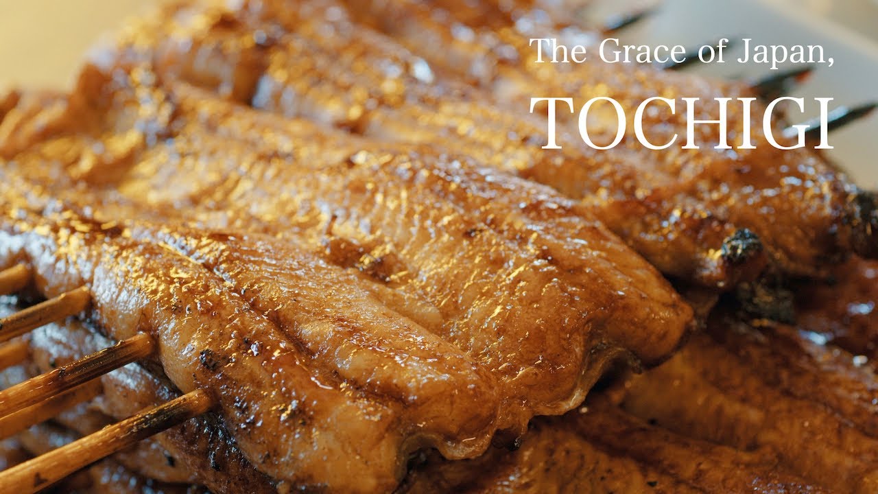 Geo Gastronomy " The Grace of Japan, TOCHIGI " 15 min