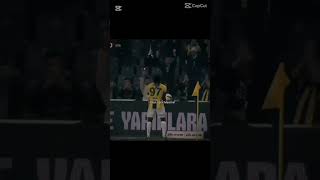 Keşke kalsaydı kaplan 🐅🐅🐅