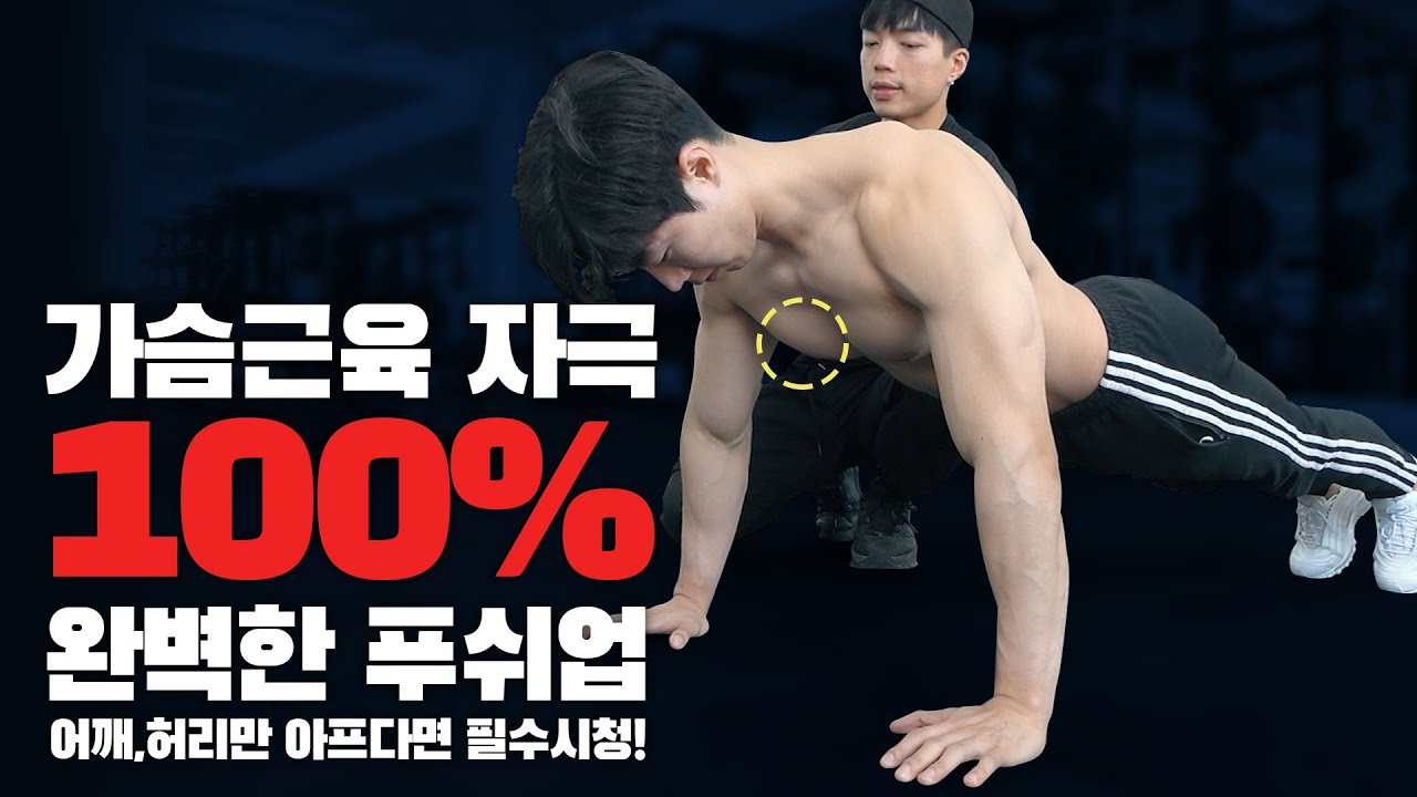 【푸쉬업】 진짜 제대로 하는법 알려드림! 가슴근육 100% 쓰는 법