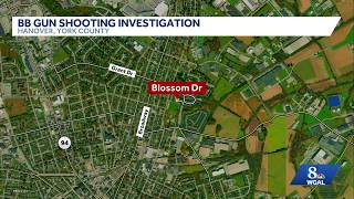 Hanover man and juvenile charged  in York County BB gun assault, police say