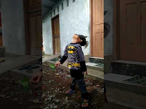 BATMAN KECIL sedang bermain - YouTube