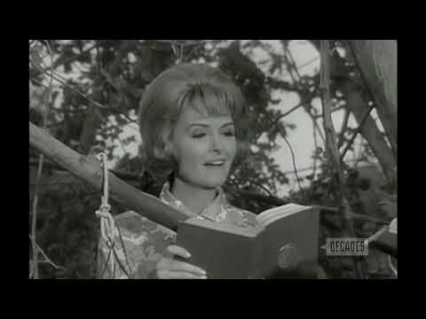 The Donna Reed Show S8E09,Trees