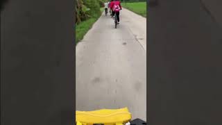 Gowes