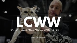 LCWW  Loving Cats Worldwide  Cat Extravaganza and Adoption Event