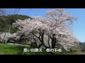 桜～愛しい人へ～