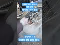 휠체어 세척