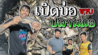 เซียนโอ๋ - ตอน เปิดบ่อขายปลาหมอ