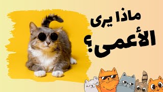 كيف تعمل العين البشرية | كيف يرى الإنسان و ماذا يرى الأعمى ؟