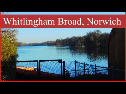 Whitlingham Broad In Norwich #walking #winter #2022