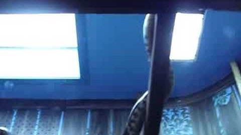 Carpet Python At Australia Zoo