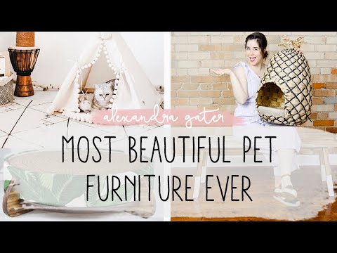 Cutest Pet Decor Haul | Beautiful Pet