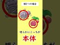 【考察】テラスタルの「位置」問題で泣いているポケモンがいます…#shorts