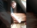 MODI MC überträgt einen Livestream.