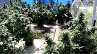 MOV00185