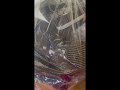 キルトブルームフィエスタ2025 いよいよ開幕！！