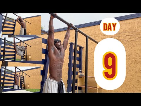 Hanging Ab Workout Day 9 Challenge
