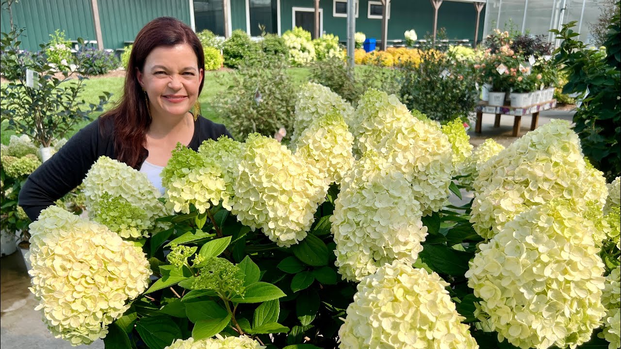 A behind the scenes garden tour proven winners colorchoice shrubs