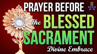 🕊️ Divine Embrace: A Prayer before the Blessed Sacrament