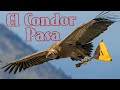 Полет кондора - El Cóndor pasa - на балалайке. Урок 171. Уроки игры на балалайке