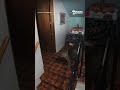 Bobcat breaks into home in Washington State, later sedated and released